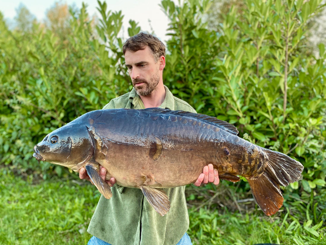 Sanctuary - Giving carp space turned patience into an advantage.